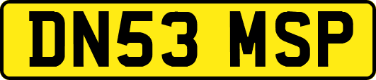 DN53MSP