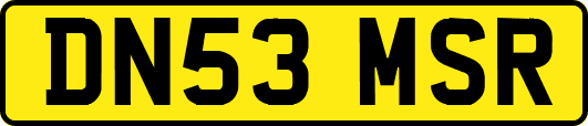 DN53MSR