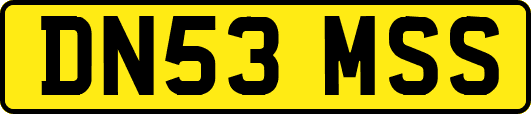DN53MSS