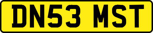 DN53MST
