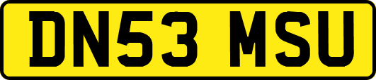 DN53MSU