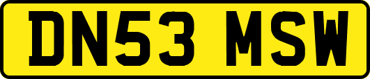 DN53MSW