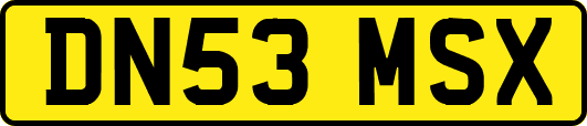 DN53MSX
