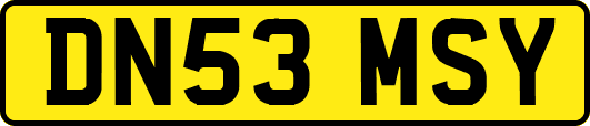 DN53MSY