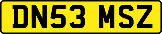 DN53MSZ
