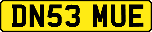 DN53MUE