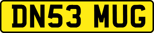 DN53MUG
