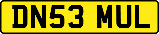 DN53MUL