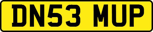 DN53MUP