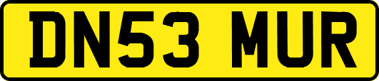 DN53MUR