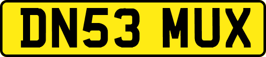 DN53MUX