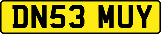 DN53MUY