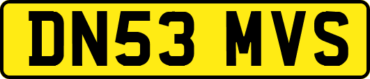 DN53MVS