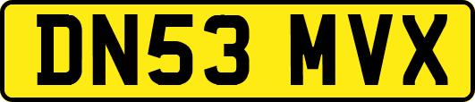 DN53MVX