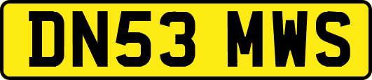 DN53MWS