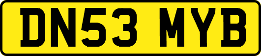 DN53MYB