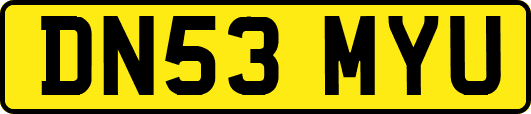 DN53MYU