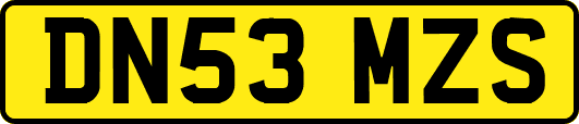 DN53MZS