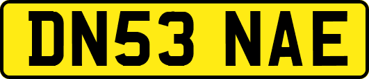 DN53NAE