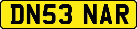 DN53NAR