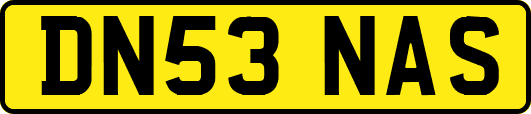 DN53NAS