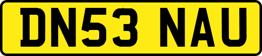 DN53NAU