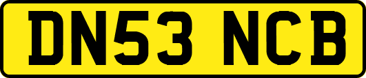 DN53NCB