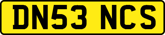 DN53NCS