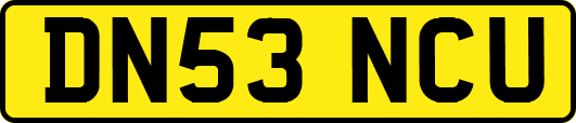 DN53NCU