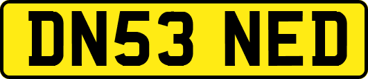 DN53NED