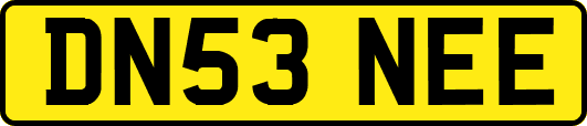 DN53NEE