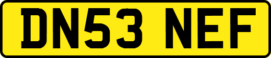 DN53NEF