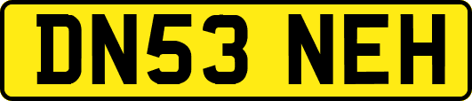 DN53NEH