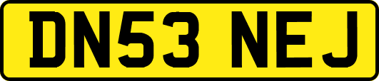 DN53NEJ