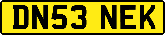DN53NEK