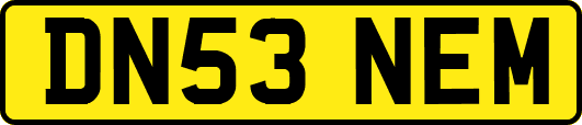 DN53NEM