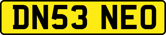 DN53NEO