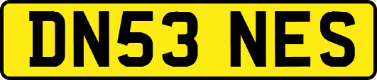 DN53NES