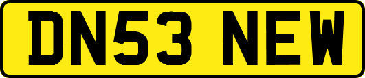 DN53NEW
