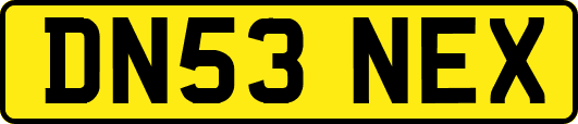 DN53NEX