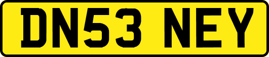 DN53NEY