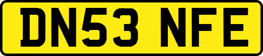 DN53NFE