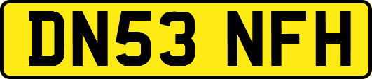 DN53NFH