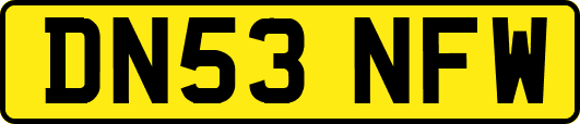 DN53NFW