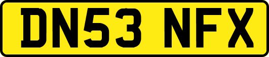 DN53NFX