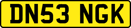 DN53NGK