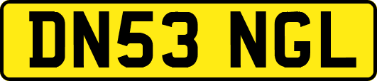 DN53NGL
