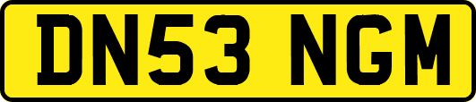 DN53NGM