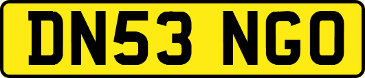 DN53NGO