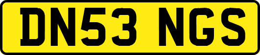 DN53NGS